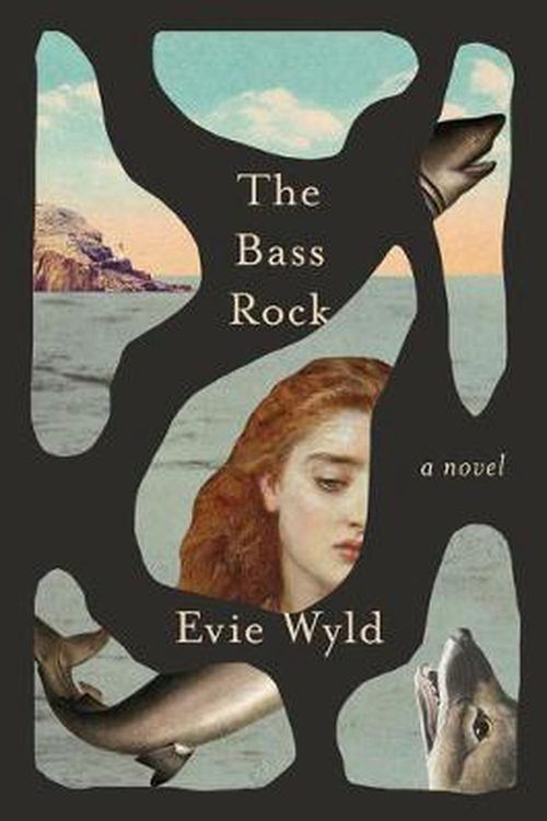 Cover Art for 9781101871881, The Bass Rock by Evie Wyld