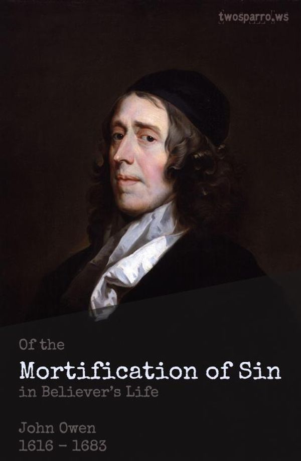 Cover Art for 1230000224655, The Mortification of Sin by John Owen