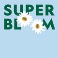 Cover Art for 9781760762698, Super Bloom by Jac Semmler