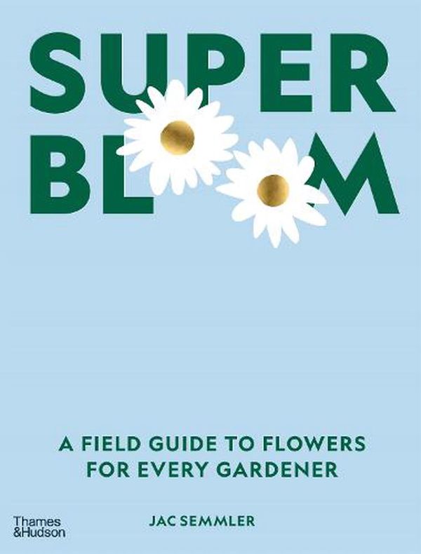 Cover Art for 9781760762698, Super Bloom by Jac Semmler