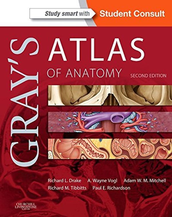 Cover Art for B00ZVOEE7U, Gray's Atlas of Anatomy, 2e (Gray's Anatomy) by Richard Drake PhD FAAA A. Wayne Vogl PhD FAAA Adam W. M. Mitchell MB BS FRCS FRCR Richard Tibbitts Paul Richardson(2014-07-28) by Richard Drake FAAA A. Wayne Vogl FAAA Adam W. M. Mitchell FRCS FRCR Richard Tibbitts Paul Richardson, Ph.D., Ph.D., MB, BS