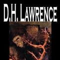 Cover Art for 9780809593828, Sons and Lovers by D. H. Lawrence