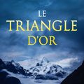 Cover Art for 1230000279015, Le Triangle d'Or by Maurice Leblanc