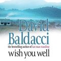Cover Art for 9781509861996, Wish You Well by David Baldacci