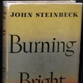Cover Art for 9780670196166, Burning Bright by John Steinbeck