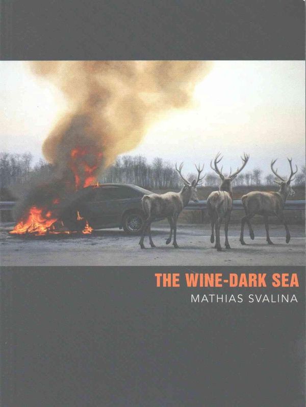 Cover Art for 9781940090054, The Wine-Dark Sea by Mathias Svalina