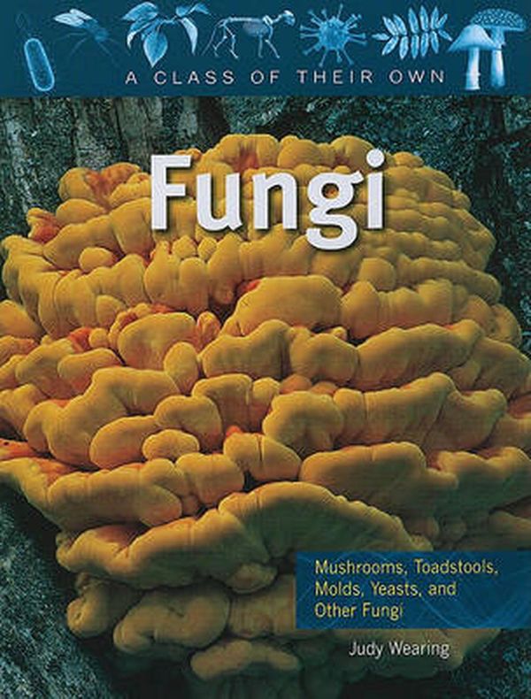 Cover Art for 9780778753896, Fungi by Judy Wearing