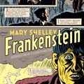 Cover Art for 9780143105039, Frankenstein by Mary Shelley