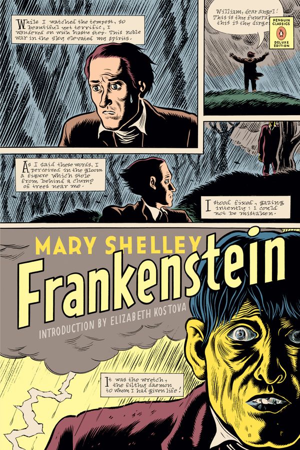 Cover Art for 9780143105039, Frankenstein by Mary Shelley