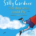 Cover Art for 9781409129349, The Boy Who Could Fly by Sally Gardner