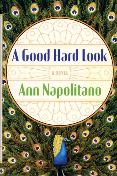 Cover Art for 9781594202926, A Good Hard Look by Ann Napolitano