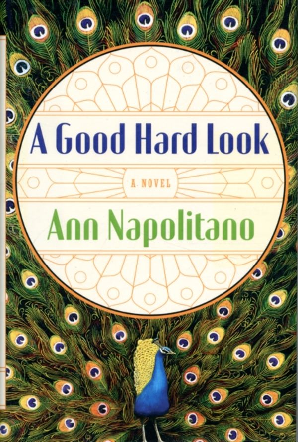 Cover Art for 9781594202926, A Good Hard Look by Ann Napolitano