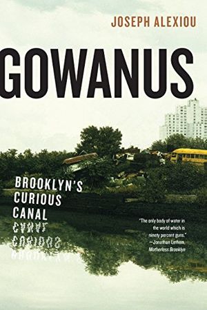 Cover Art for 9781479892945, GowanusBrooklyn S Curious Canal by Joseph Alexiou