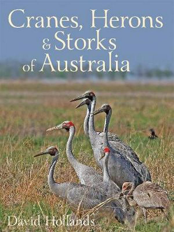 Cover Art for 9780992290016, Cranes, Herons and Storks of Australia by David Hollands