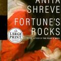 Cover Art for 9780375430527, Fortune's Rocks by Anita Shreve