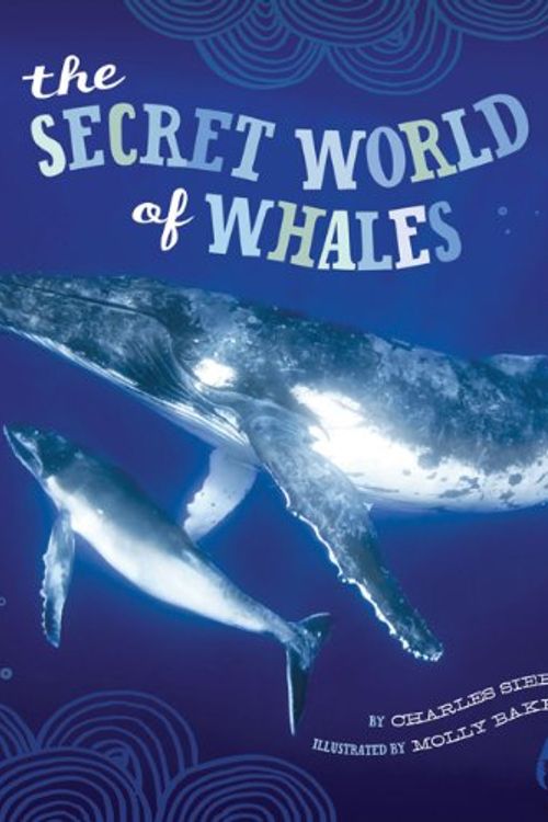 Cover Art for 9780811876414, Secret World of Whales by Charles Siebert