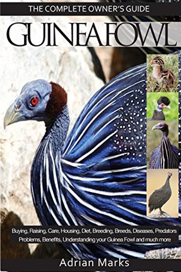 Cover Art for 9781910915080, Guinea Fowl:  The Complete Owners Guide by Adrian Marks
