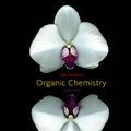Cover Art for 9780840054449, Organic Chemistry by John E. McMurry