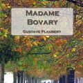 Cover Art for 9788866611141, Madame Bovary by Gustave Flaubert