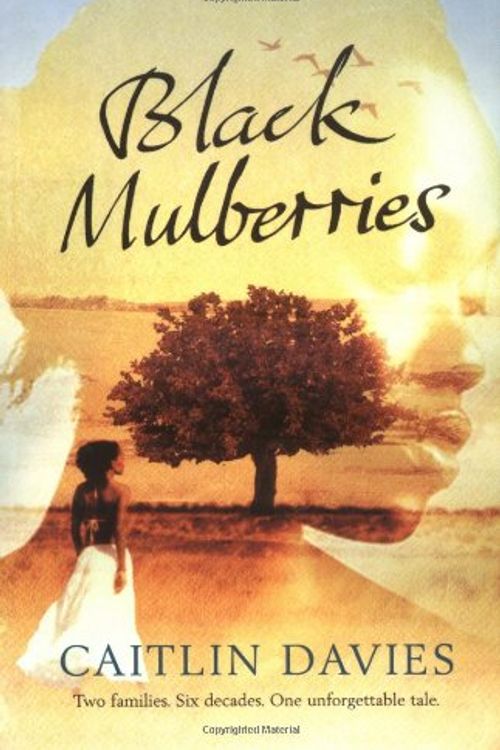 Cover Art for 9781416522546, Black Mulberries by Caitlin Davies