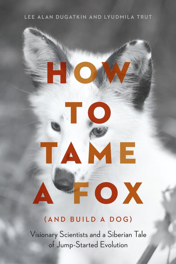 Cover Art for 9780226444215, How to Tame a Fox (and Build a Dog) by Lee Alan Dugatkin, Lyudmila Trut