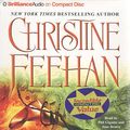 Cover Art for 9781423340218, Dark Possession by Christine Feehan