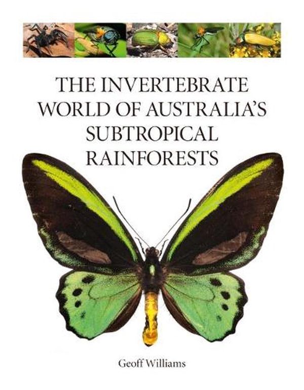 Cover Art for 9781486312917, The Invertebrate World of Australia’s Subtropical Rainforests by Geoff Williams