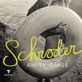 Cover Art for 9789402302387, Schroder by Amity Gaige