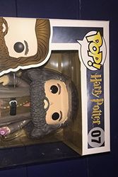 Cover Art for 0885433221013, FUNKO POP! Movies: Harry Potter - Rubeus Hagrid 6 by FunKo
