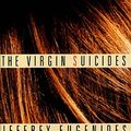 Cover Art for 9780374284381, The Virgin Suicides by Jeffrey Eugenides