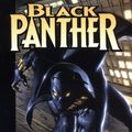 Cover Art for 9780785107897, Black Panther by Christopher Priest