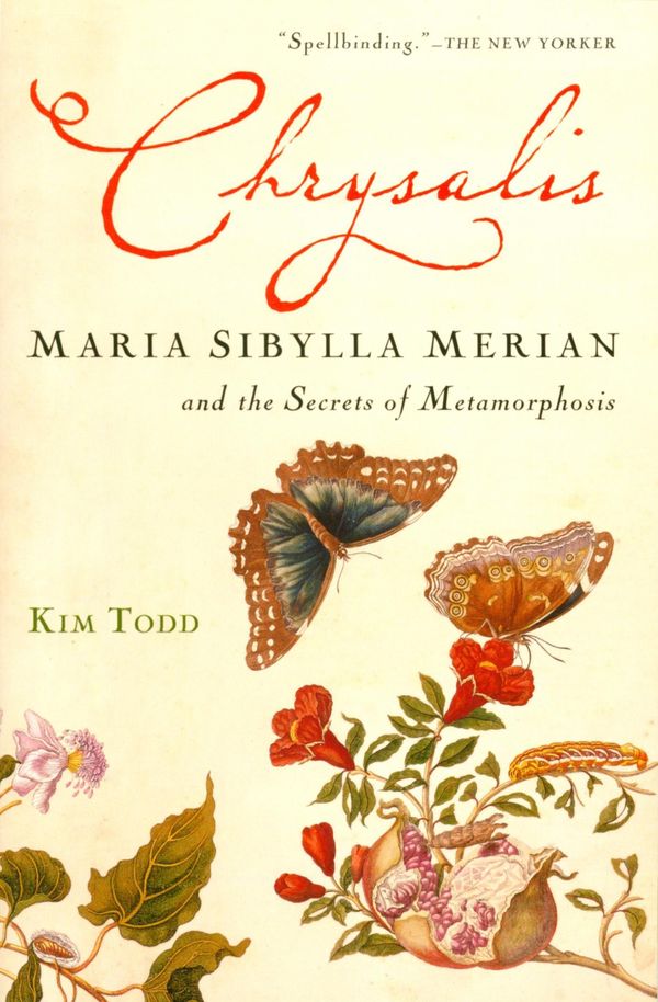 Cover Art for 9780547538099, Chrysalis by Kim Todd