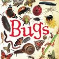 Cover Art for 9781595667571, Bugs (Qeb Wildlife Watchers) by Terry Jennings
