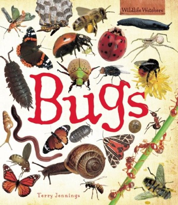 Cover Art for 9781595667571, Bugs (Qeb Wildlife Watchers) by Terry Jennings
