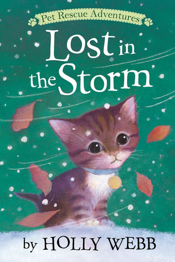 Cover Art for 9781680104103, Lost in the Storm (Pet Rescue Adventures) by Holly Webb