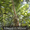 Cover Art for 9780674058170, The Diversity of Life by Edward O. Wilson