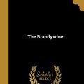 Cover Art for 9781361204924, The Brandywine by John Russell Hayes