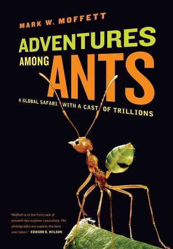 Cover Art for 9780520271289, Adventures Among Ants by Mark W. Moffett