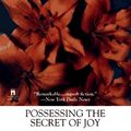 Cover Art for 9780671789459, Possessing the Secret of Joy by Alice Walker