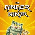 Cover Art for 9780340619568, The Ginger Ninja: The Return of Tiddles (Read Alone) (Bk. 2) by Shoo Rayner