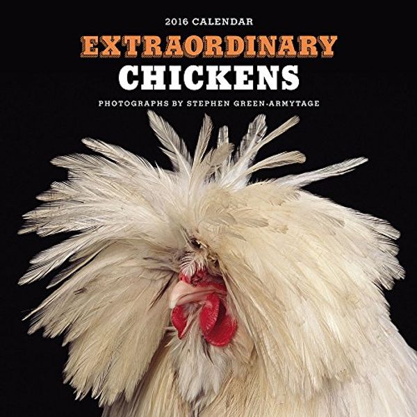 Cover Art for 9781419716157, Extraordinary Chickens by Stephen Green-Armytage