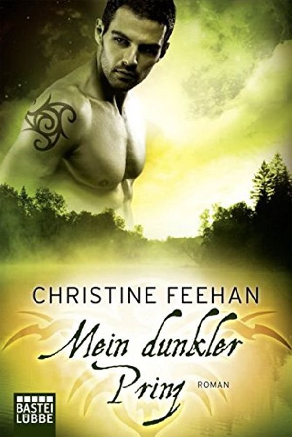 Cover Art for 9783404186648, Mein dunkler Prinz. by Christine Feehan