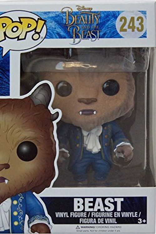 Cover Art for 0889698129053, Beast Flocked (disney Beauty & The Beast) Funko Pop! Vinyl Figure by Funko