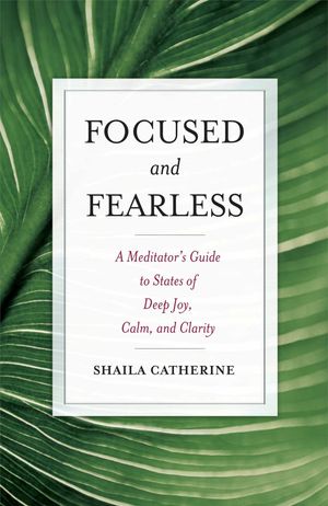 Cover Art for 9780861719815, Focused and Fearless by Shaila Catherine