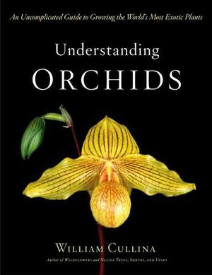 Cover Art for 9780618263264, Understanding Orchids by William Cullina