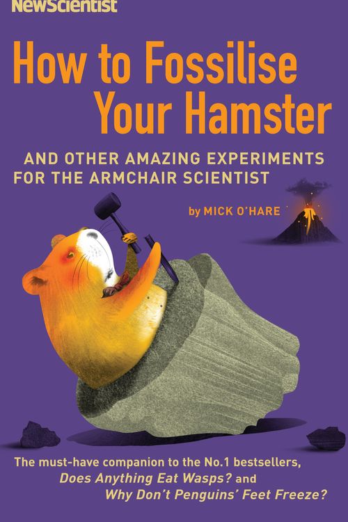 Cover Art for 9781846680441, How to Fossilise Your Hamster by Mick O'Hare