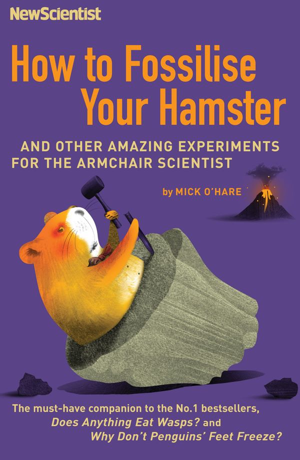 Cover Art for 9781846680441, How to Fossilise Your Hamster by Mick O'Hare