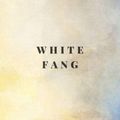 Cover Art for 9798738736124, White Fang by Jack London by Jack London