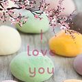 Cover Art for B083M93BCL, I love you so mochi (French Edition) by Sarah Kuhn, Camille Cosson
