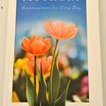 Cover Art for 9781593108991, Daily Wisdom for Mothers Encouragement for Every Day by Michelle Medlock Adams